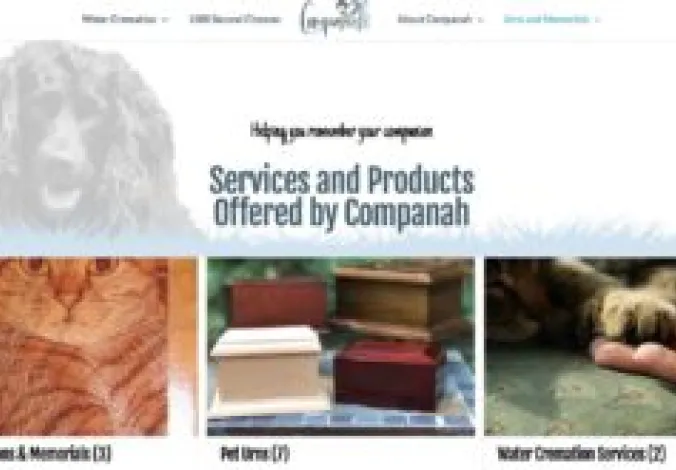Store coupon code