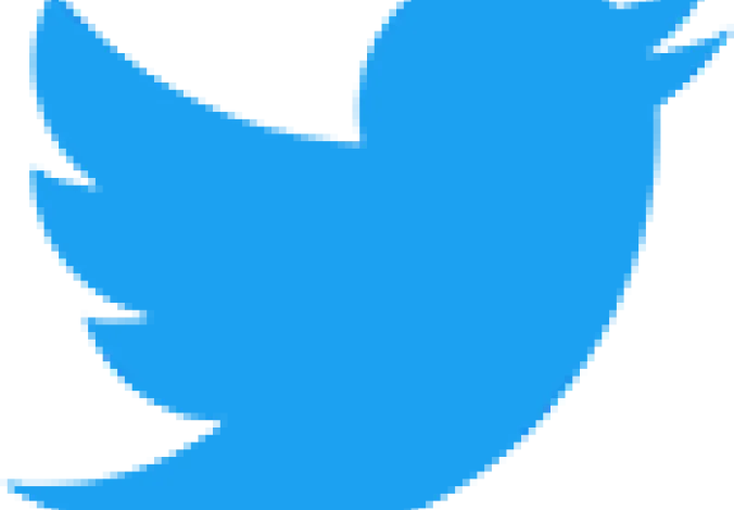 twitter bird