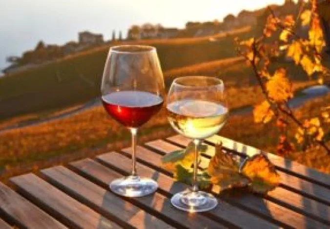winefallsmall