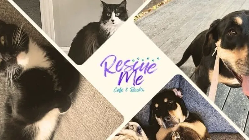 Campaign featured image