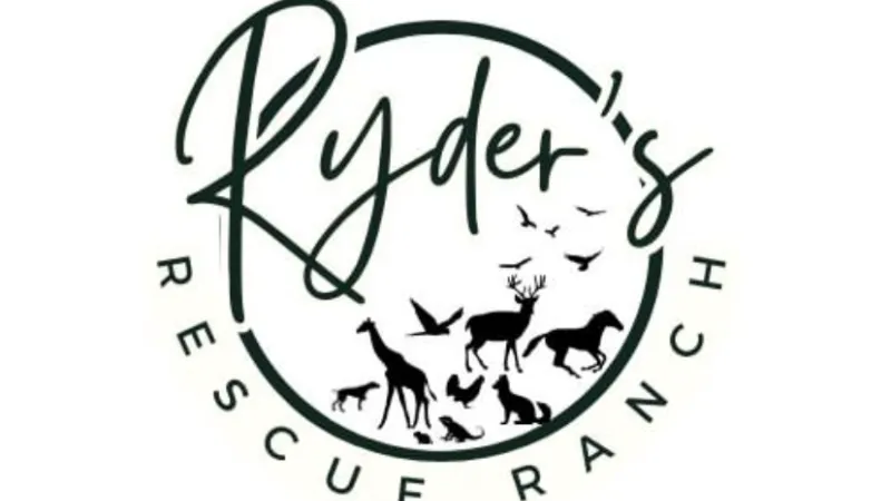 Campaign featured image