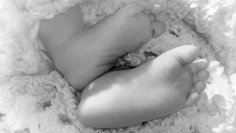 image5.jpg Thumbnail
