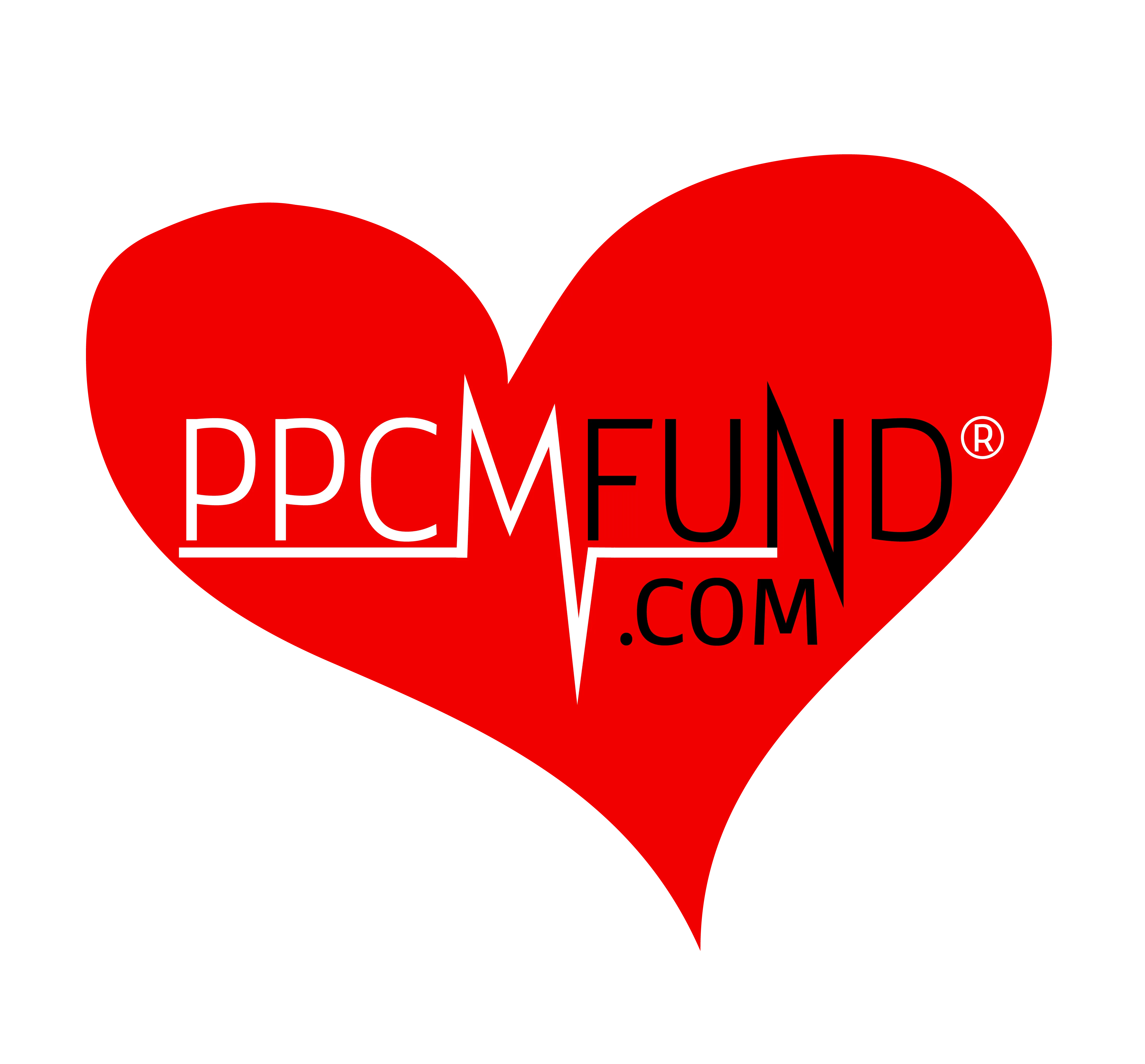 PFI LOGO