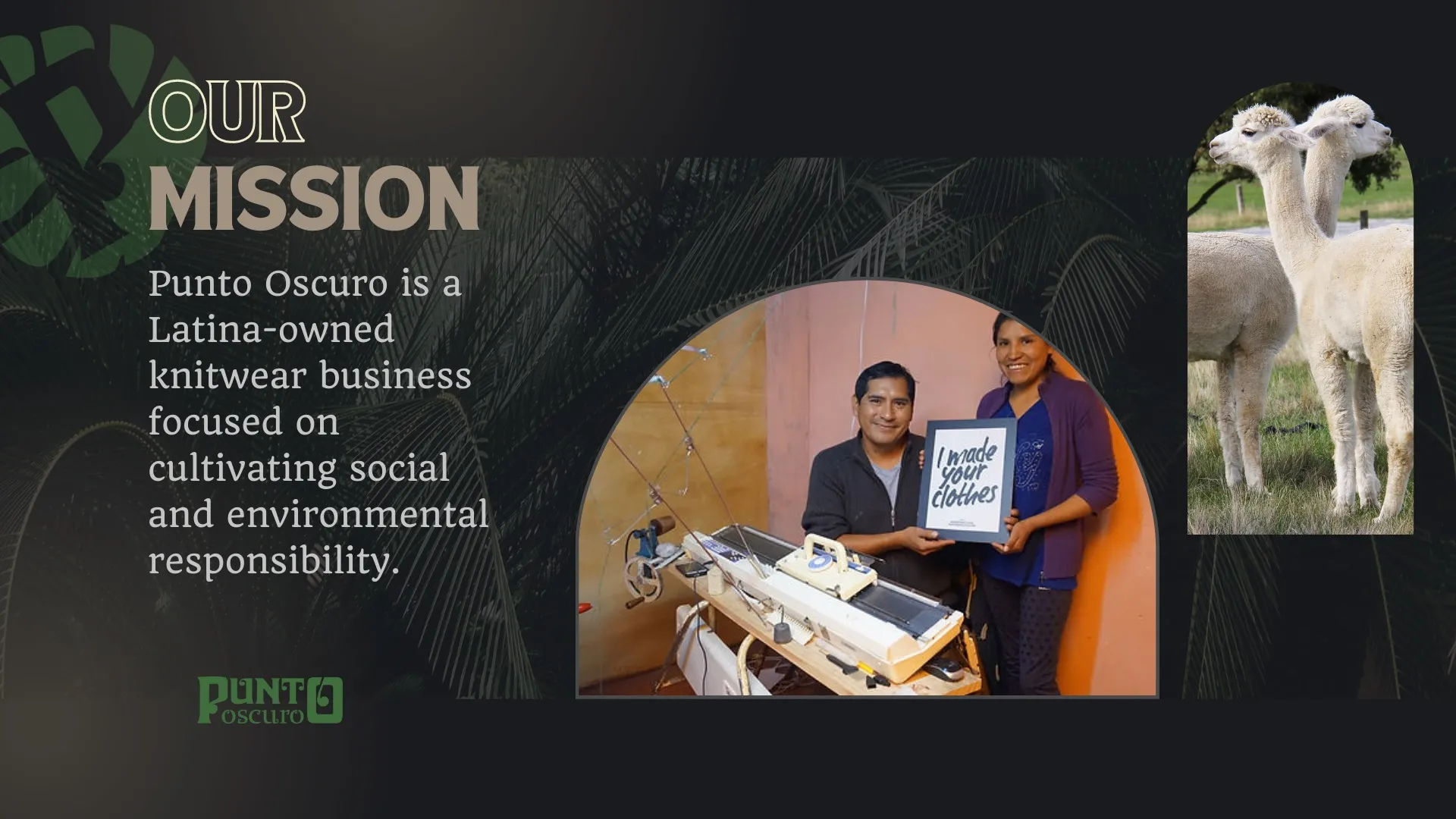 Pictured: Punto Oscuro Mission page