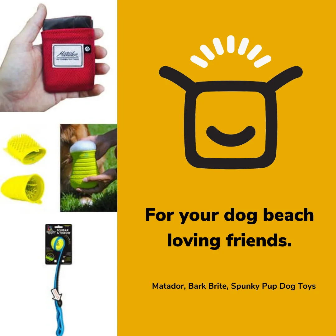 Care package for a day at dog beach