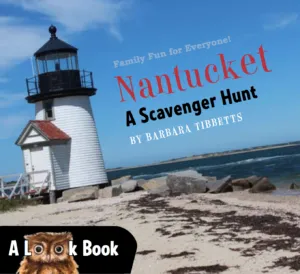 The LOOK Book, Nantucket