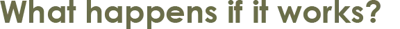 ii