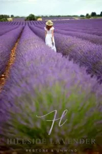 HL - pinterest