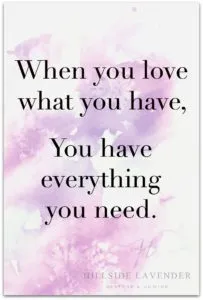 love what you have
