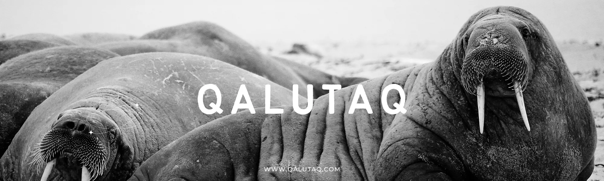 Qalutaq Uluaq