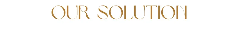 OUR SOLUTION
