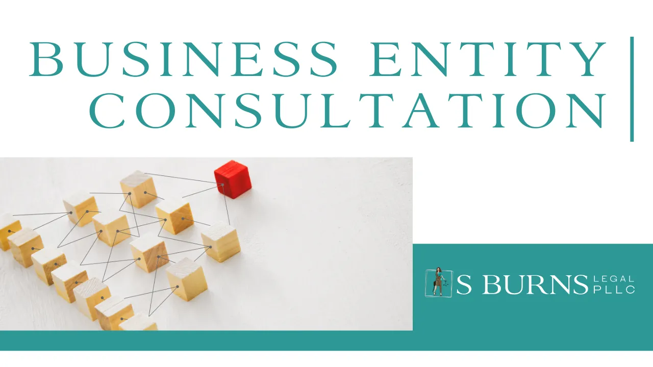 Business Entity Consultation