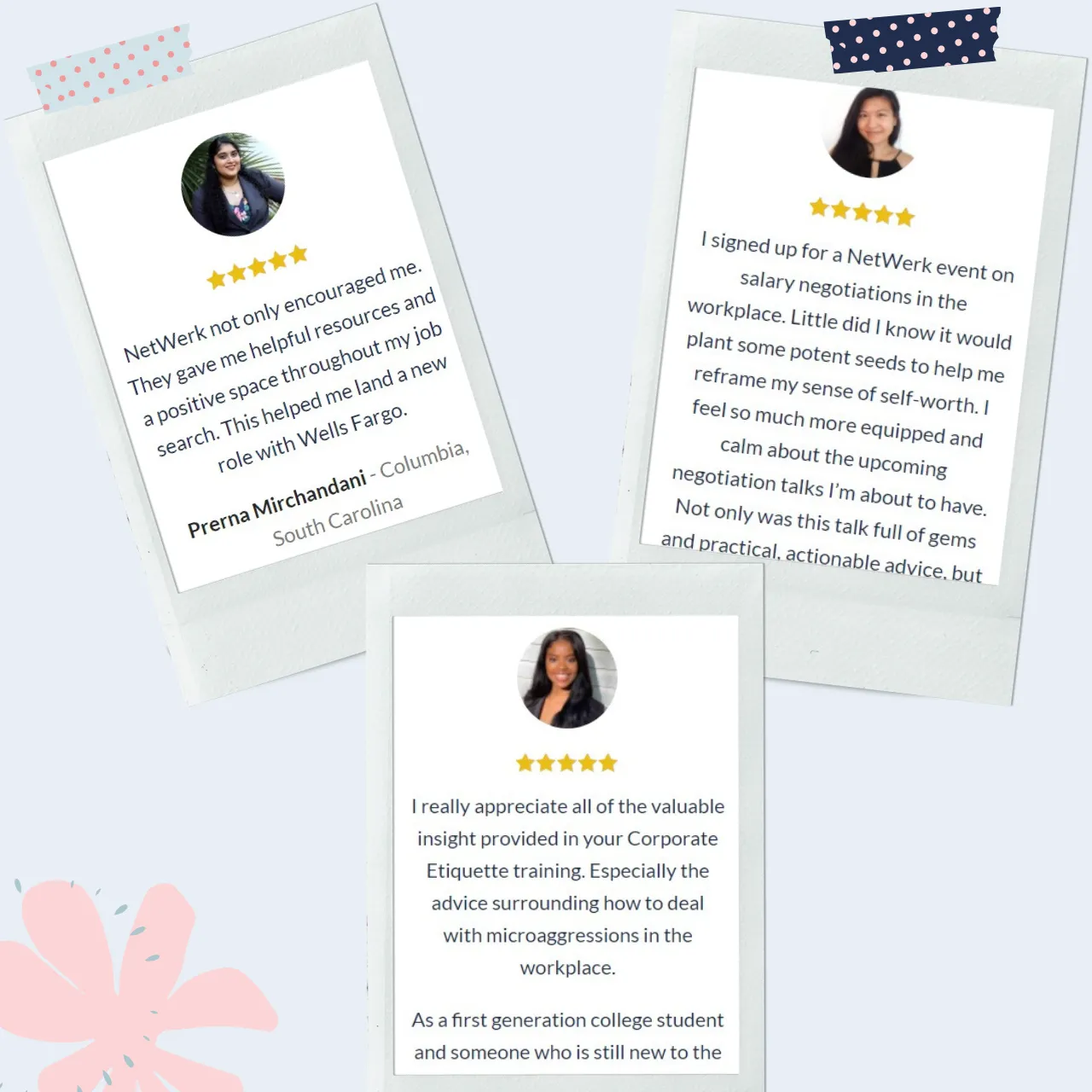NetWerk Community Reviews 