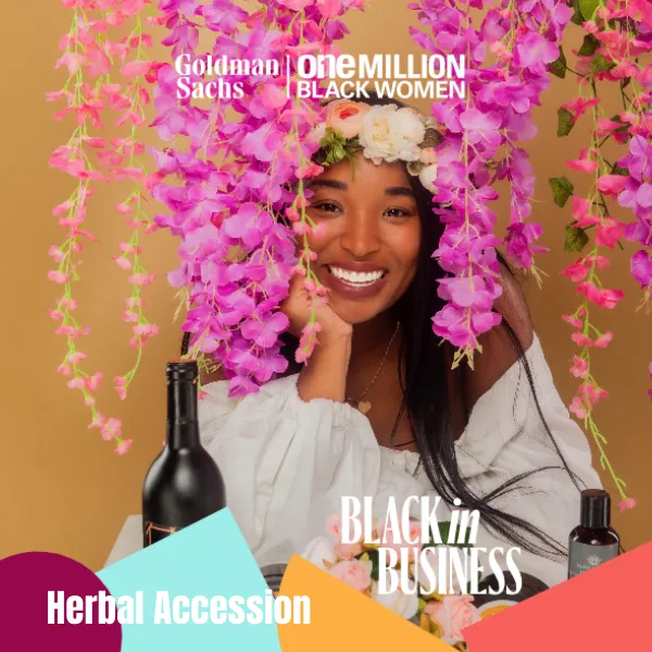 Goldman Sachs One Million Black Women In Biz (BIB)