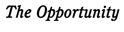 The Opportunity 